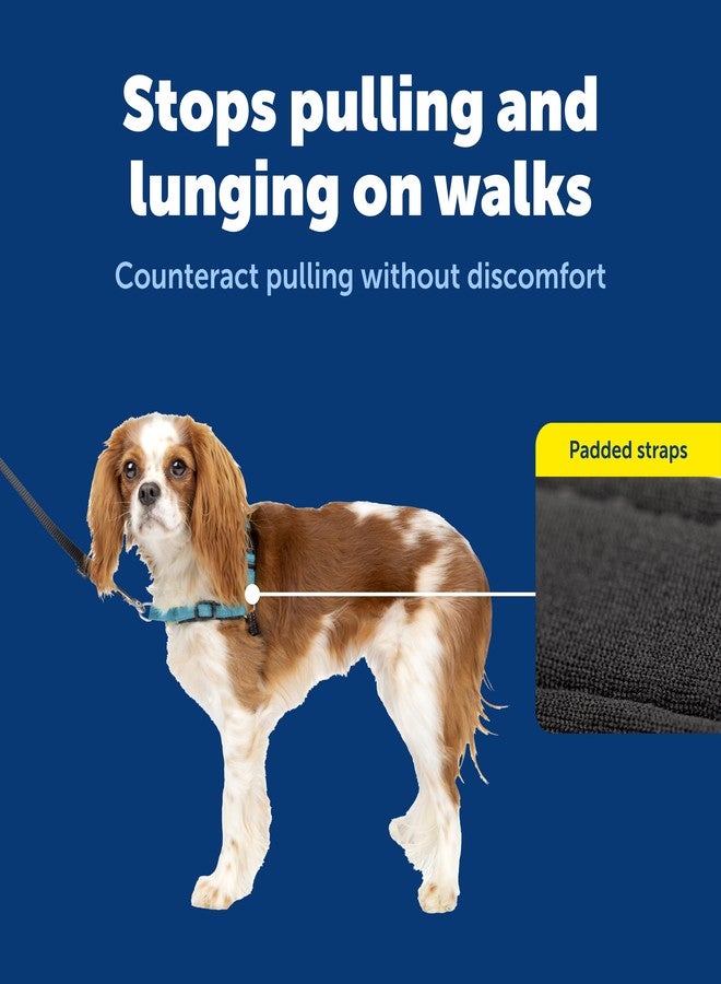 بيت سيف حزام صدر PetSafe Deluxe Easy Walk - حزام صدر للكلاب موثوق به من قبل المدربين، بتصميم حلقة مارتينجال قابلة للتهوية - يساعد على منع الشد دون الاختناق أو التقيؤ - صغير - أزرق محيطي - Image 4